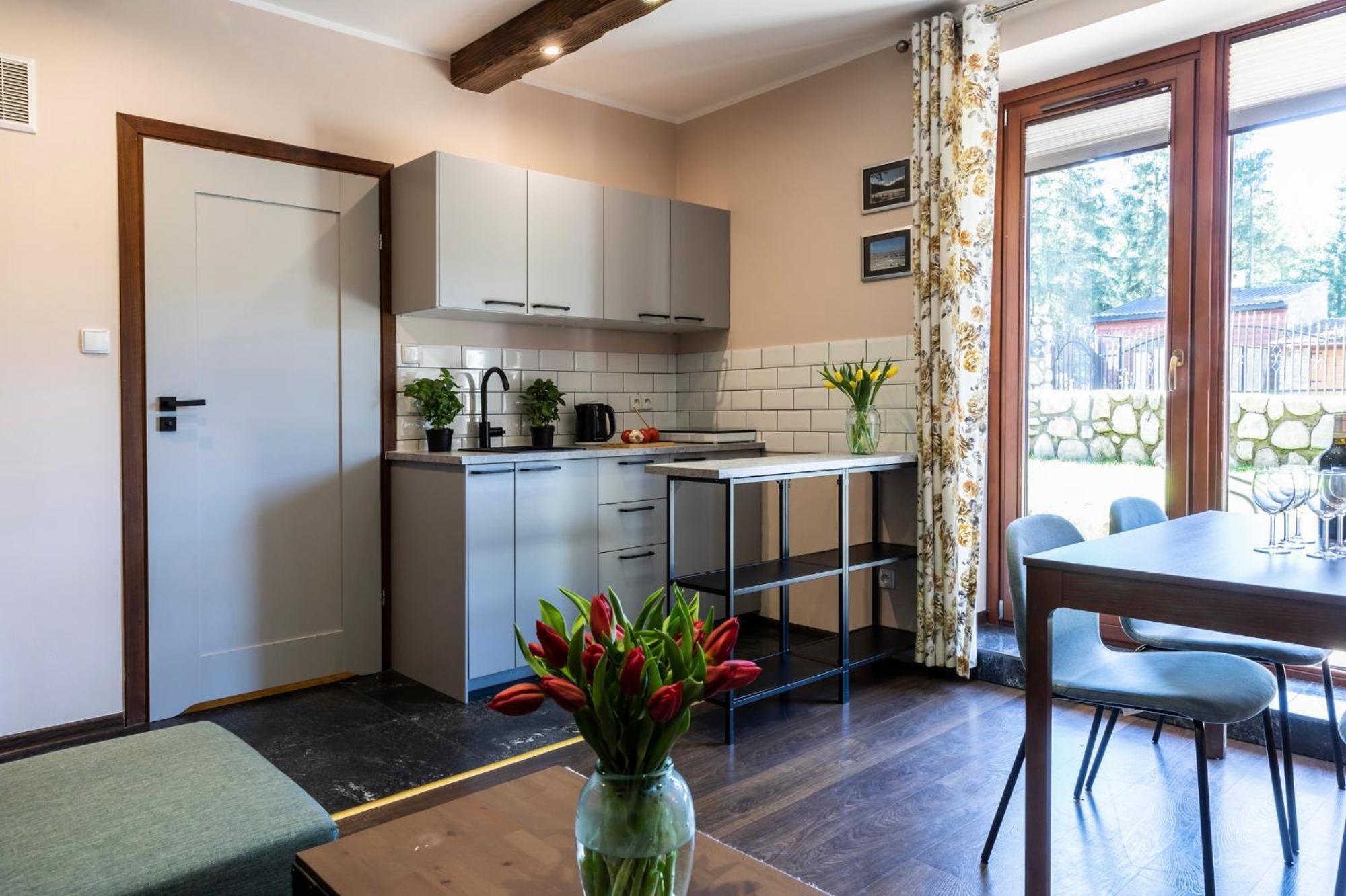 Udanypobyt Apartamenty Przy Dolinach C I D Kościelisko Exteriér fotografie